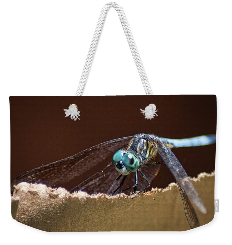 Insect Weekender Tote Bag featuring the photograph Dragonfly Eyes by Portia Olaughlin