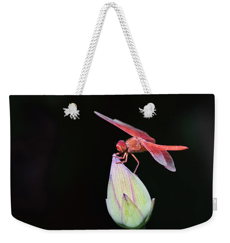 Lotus Weekender Tote Bag featuring the photograph Dragonfly on Lotus Flower by Gary Geddes