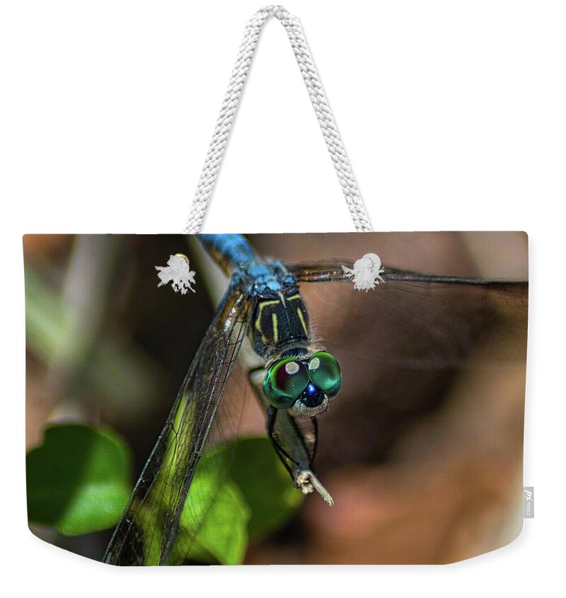 Insect Weekender Tote Bag featuring the photograph Dragonfly Spirit by Portia Olaughlin