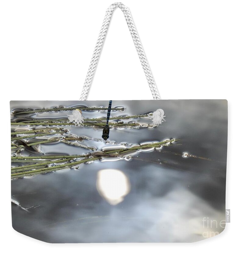 Sun Reflected Weekender Tote Bag featuring the photograph Dragonfly talks to the Sun by Nicola Finch