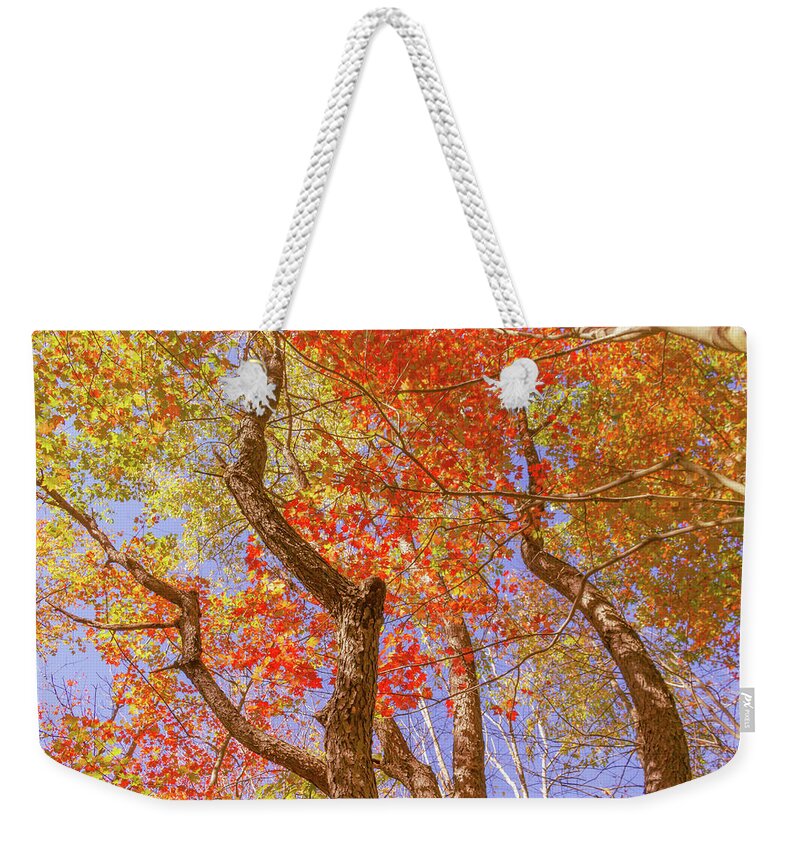 Fall Weekender Tote Bag featuring the photograph Dramatic Autumn Trees by Auden Johnson