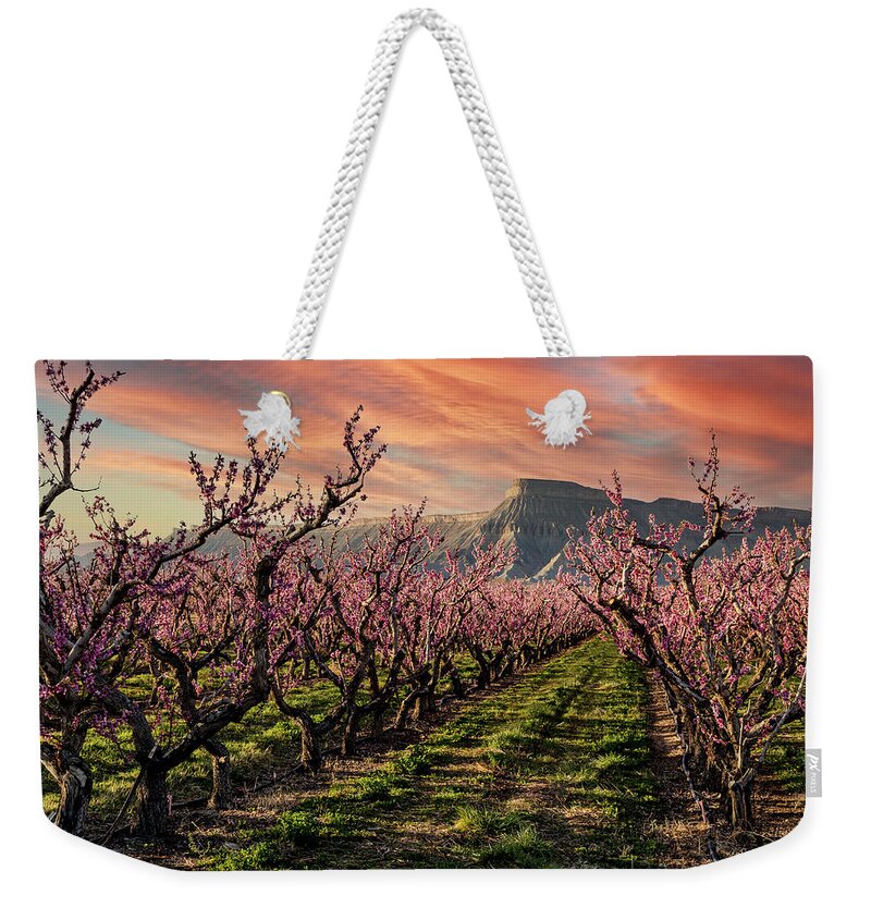Colorado Weekender Tote Bag featuring the photograph Dramatic Sunset in Palisade Colorado Peach Orchard by Teri Virbickis