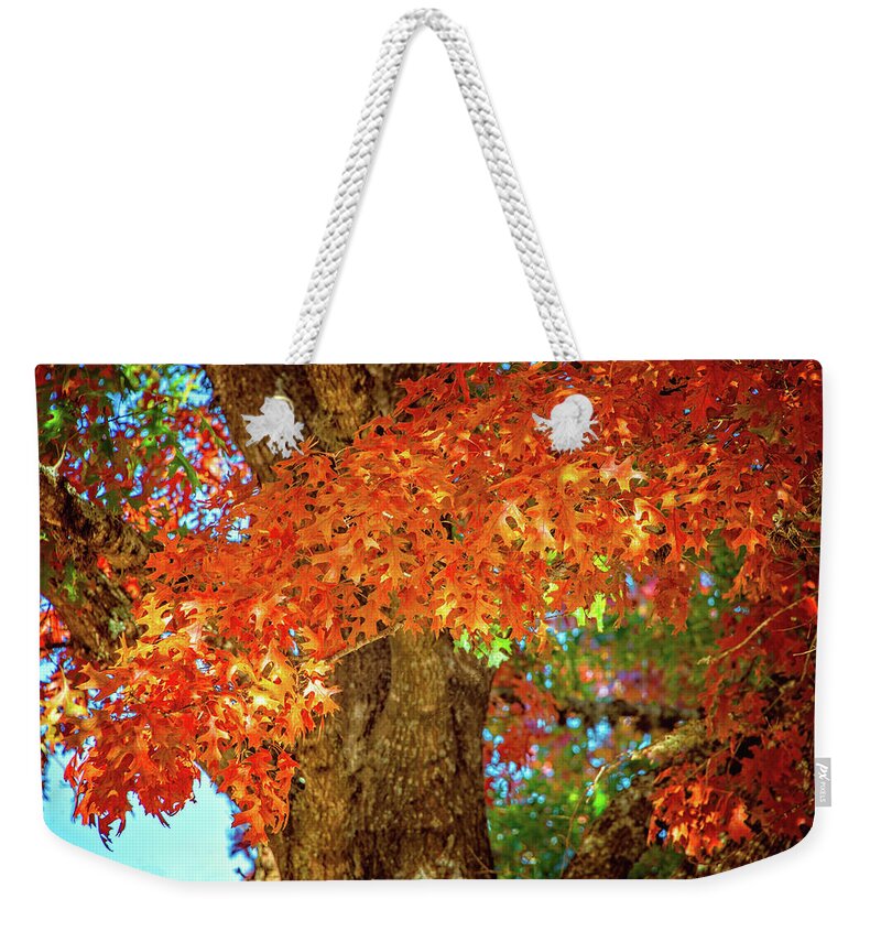 Texas Hill Country Weekender Tote Bag featuring the photograph Draped in Autumn Beauty by Lynn Bauer