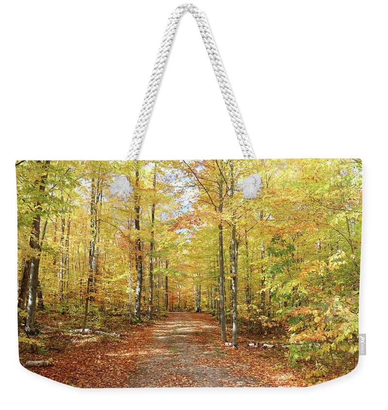 Back Road Weekender Tote Bag featuring the photograph Drawn Into The Woods by David T Wilkinson