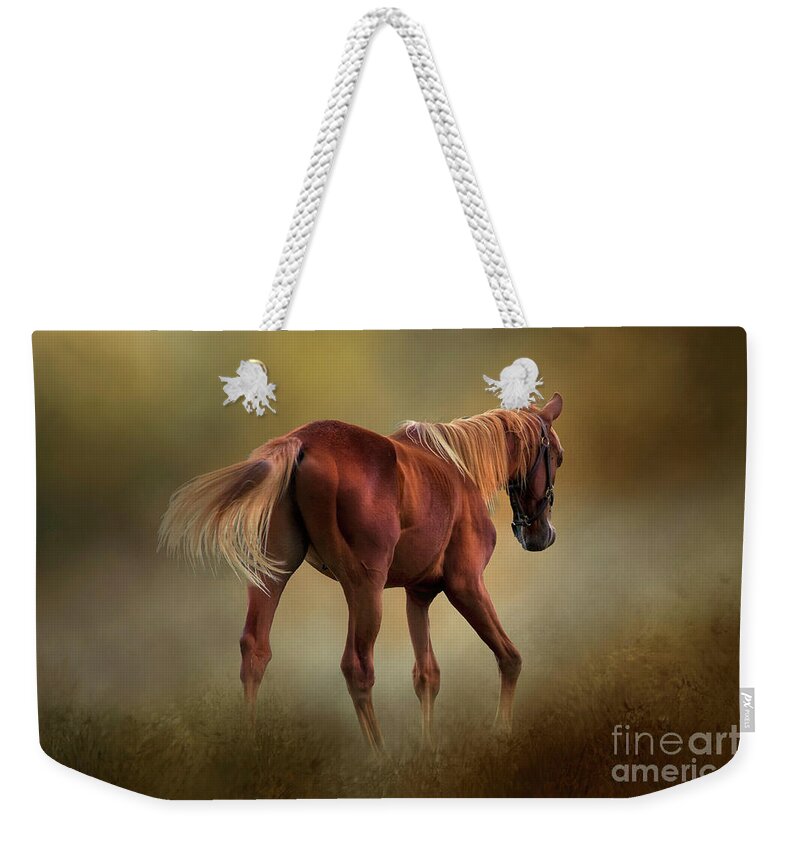 Horse Weekender Tote Bag featuring the photograph Dream Horse by Shelia Hunt