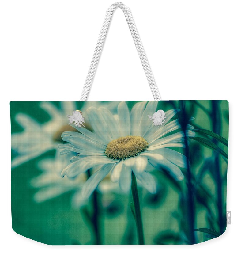 Nature Weekender Tote Bag featuring the photograph Dreamy Daisies by Bonnie Bruno