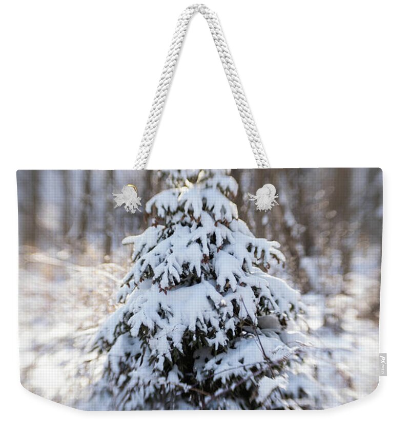#evergreen #pinetree #snowcoveredevergreen #christmastree #woodlandtree #naturepreserve #evergreeninwinter Weekender Tote Bag featuring the photograph Dreamy Evergreen by Kimberly Mackowski