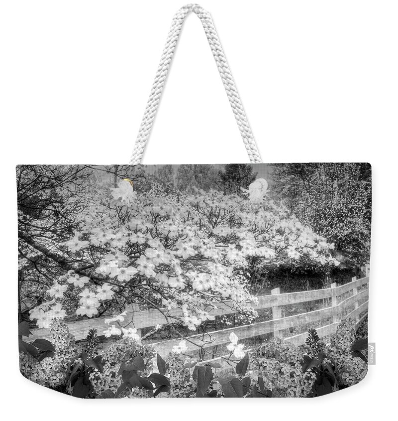 Barns Weekender Tote Bag featuring the photograph Dressed in White and Gray by Debra and Dave Vanderlaan