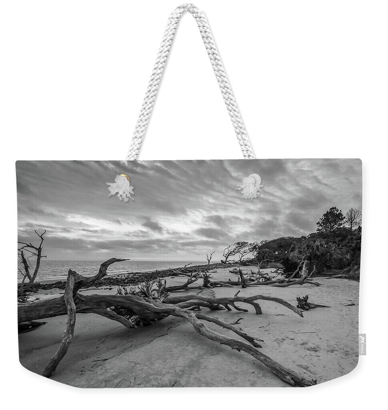 3-nature Weekender Tote Bag featuring the photograph Drift wood beach photograph by Louis Dallara
