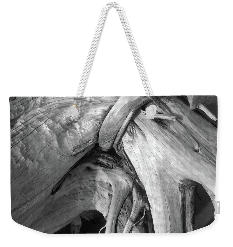 Big Talbot Island Weekender Tote Bag featuring the photograph Driftwood 1, Big Talbot Island by John Simmons