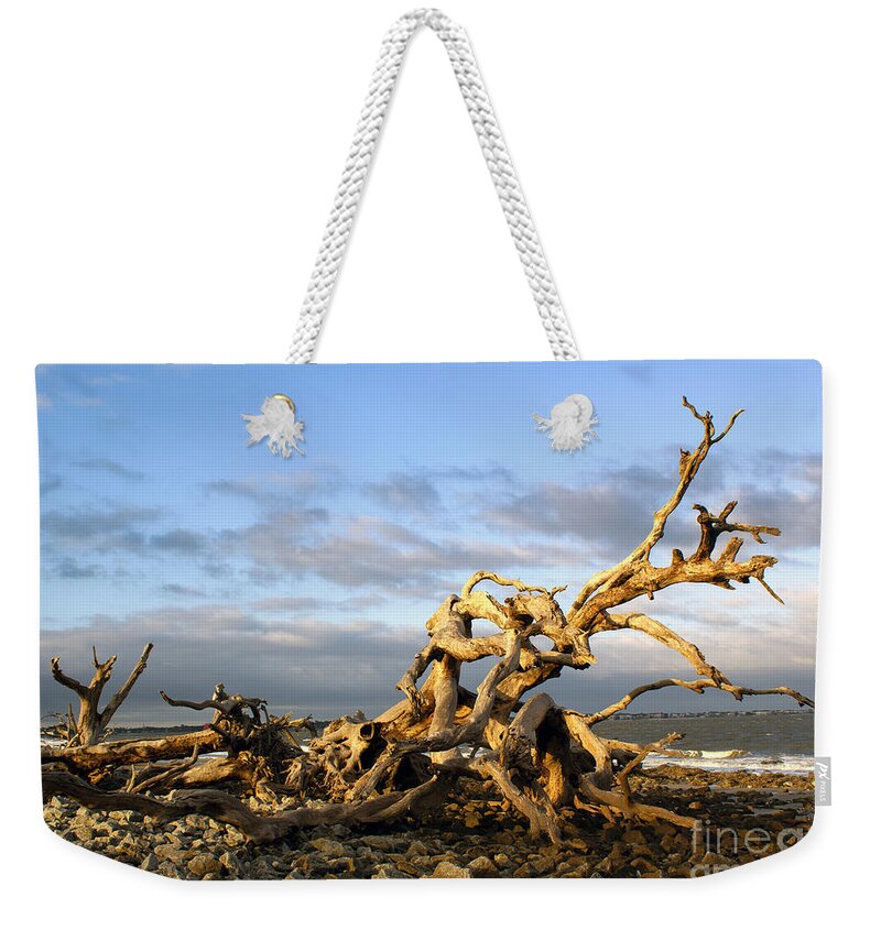 Driftwood Weekender Tote Bag featuring the photograph Driftwood Beach Afternoon on Jekyll Island by Sea Change Vibes