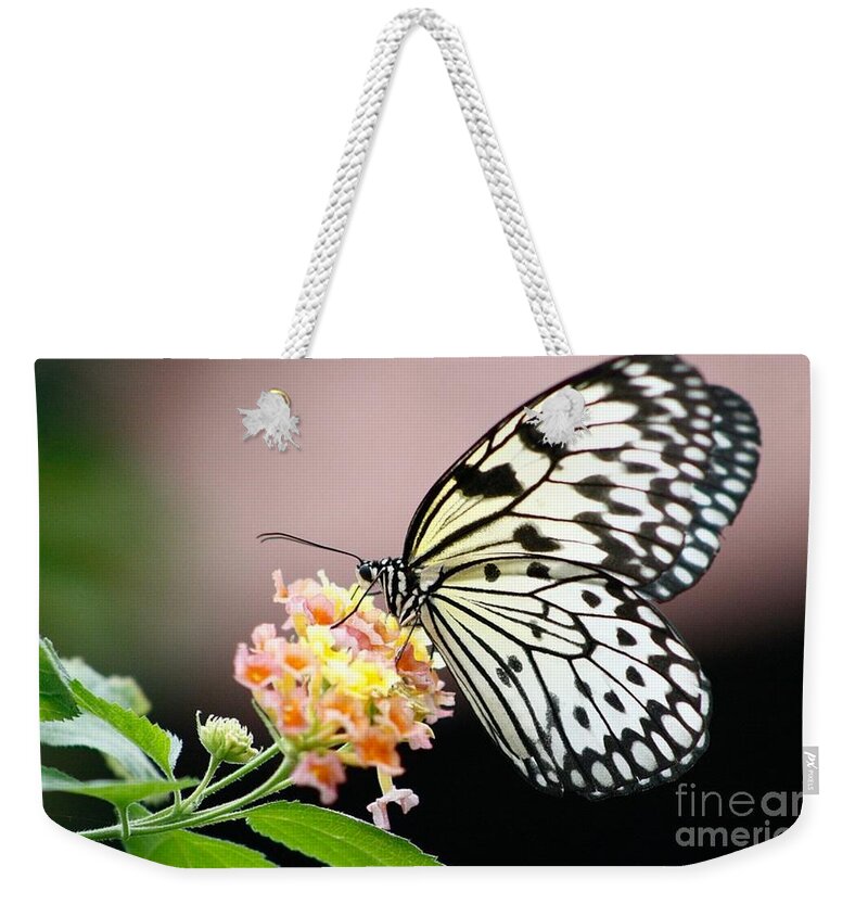 Butterfly Gardens Weekender Tote Bag featuring the photograph Drink Up by Kimberly Furey