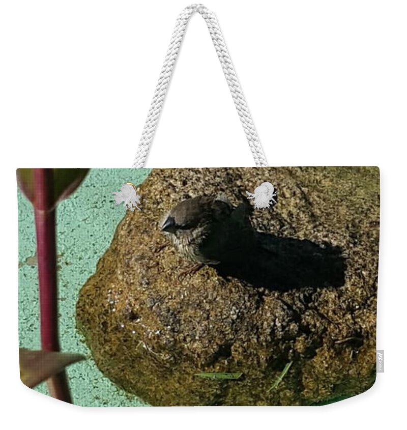 All Weekender Tote Bag featuring the digital art Drinking Pond for Birds KN29 by Art Inspirity