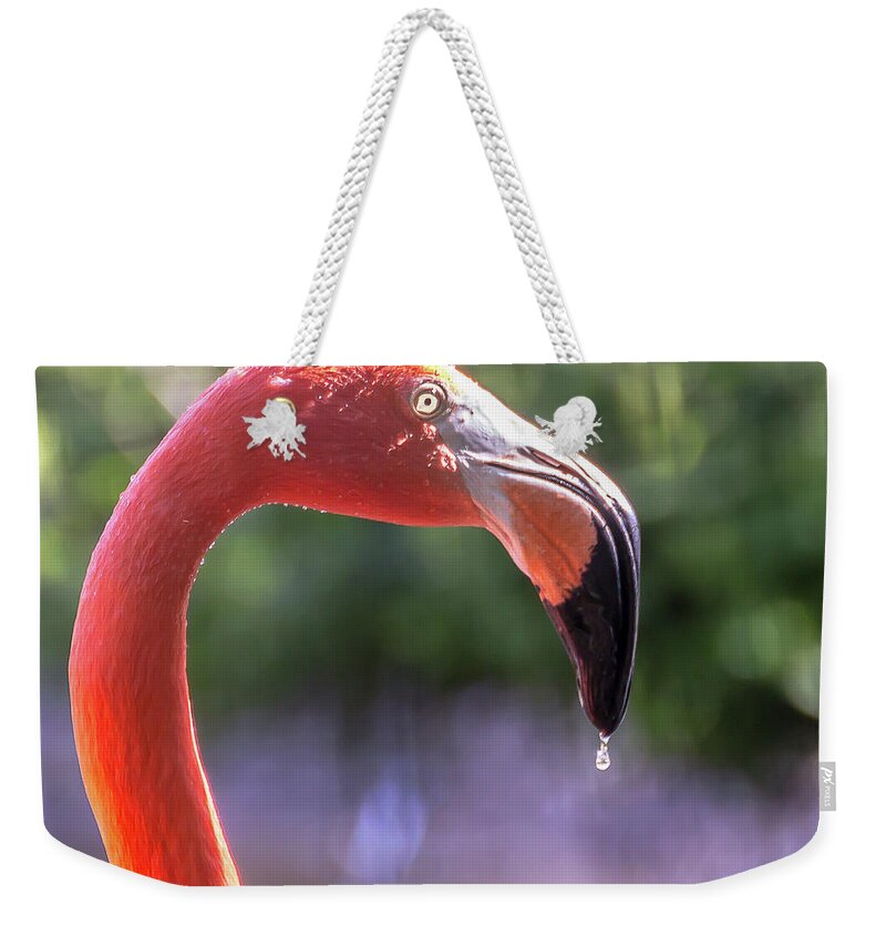 Zoo Weekender Tote Bag featuring the photograph Dripping flamingo by Robert Miller