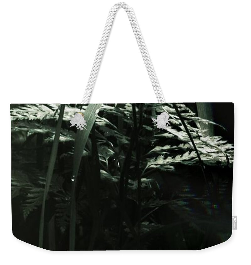 Leaves Weekender Tote Bag featuring the photograph DROPLETS Magic Forest by Auranatura Art