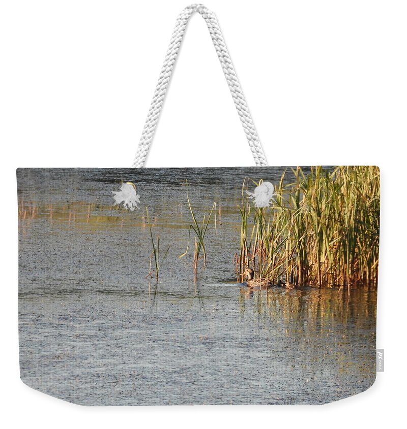 Duck Weekender Tote Bag featuring the photograph Duck And Ducklings by Amanda R Wright