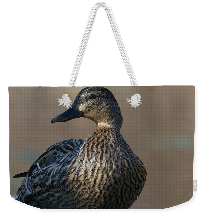 Bird Weekender Tote Bag featuring the photograph Duck by Paul Ross