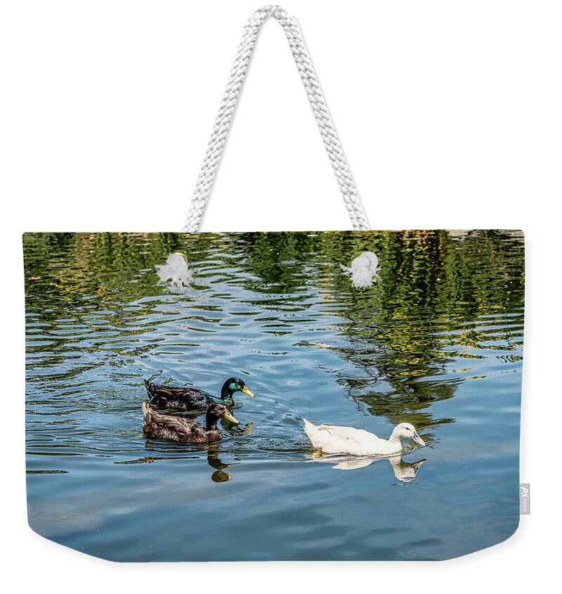 Duck Weekender Tote Bag featuring the photograph Ducks And Turtles by Gene Parks