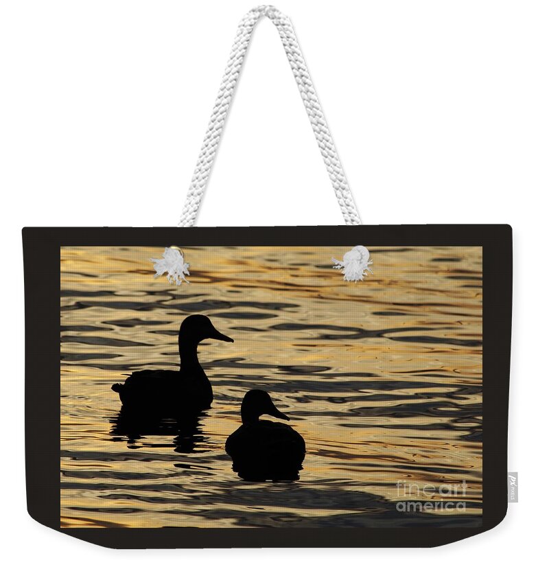 Ducks Weekender Tote Bag featuring the photograph Ducks at Sunset by Joanne Carey