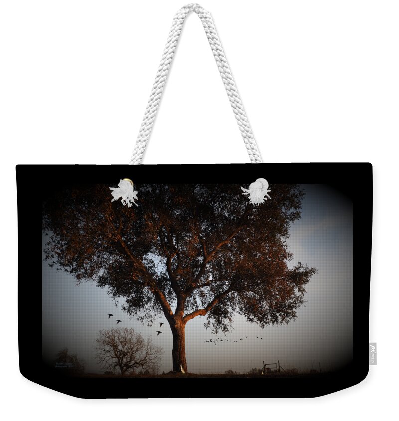 Landscape Weekender Tote Bag featuring the photograph Ducks Geese Fox Oaks by Richard Thomas