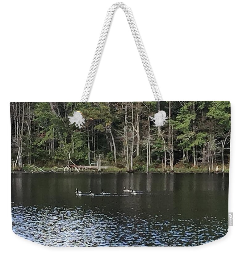 Four H Club Weekender Tote Bag featuring the photograph Ducks in Pond by Catherine Wilson