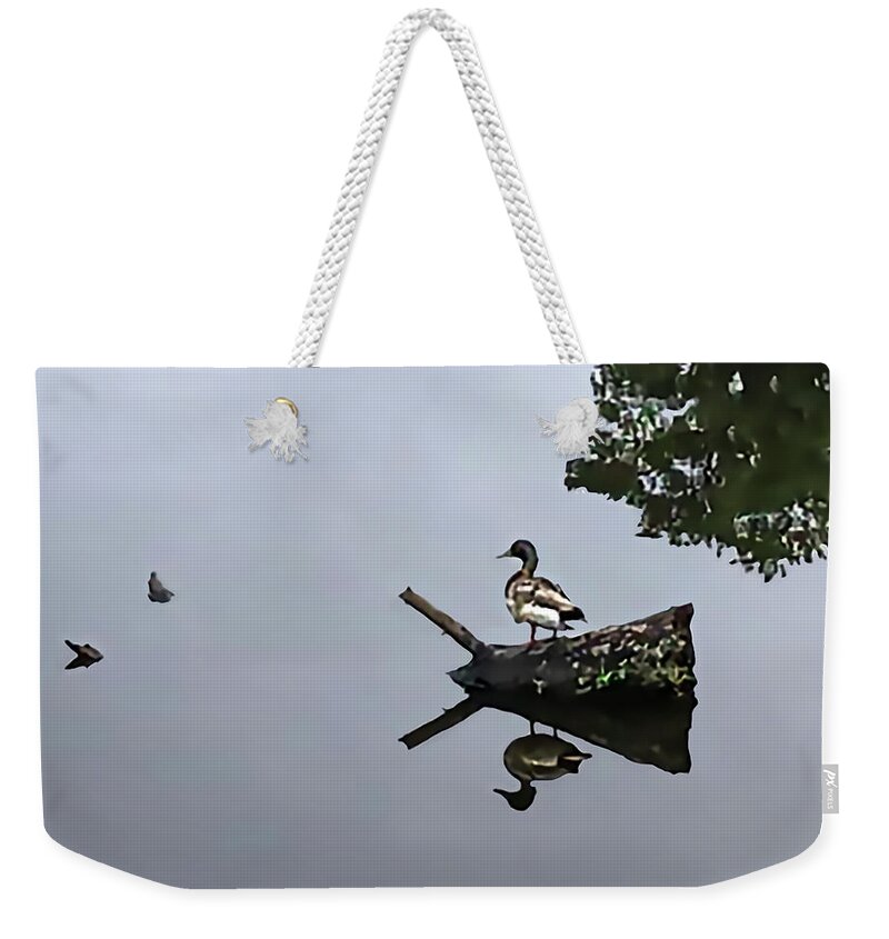 Wild Ducks Weekender Tote Bag featuring the photograph Ducks Limited by Edward Shmunes