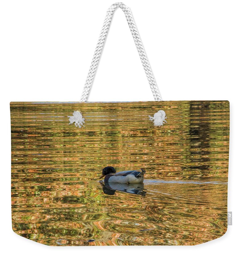 Duck Weekender Tote Bag featuring the photograph Ducky on Gold Pond by Kathy Clark