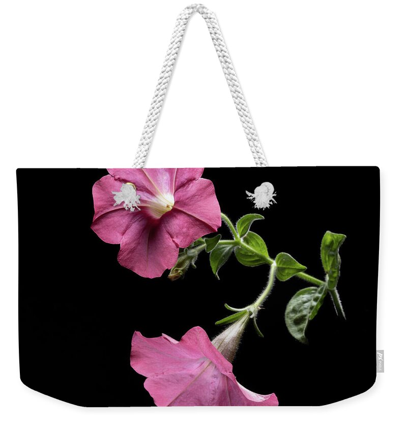 Duet Weekender Tote Bag featuring the photograph Duet in the Spotlight by Kevin Suttlehan