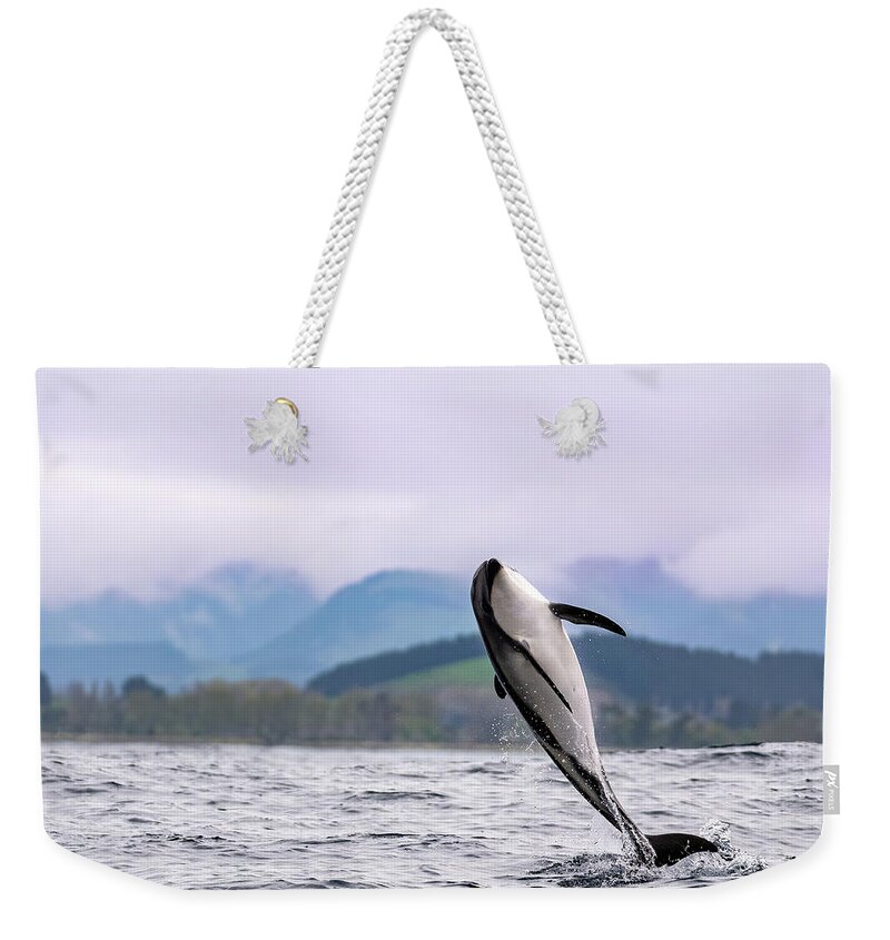 Dolphin Handbags