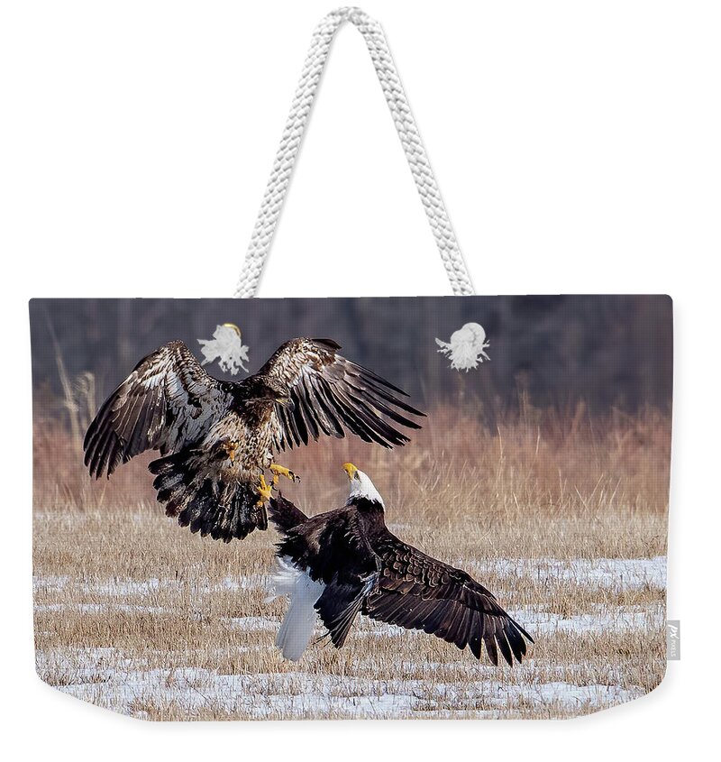 Eagle Weekender Tote Bag featuring the photograph Dustup by Rod Best