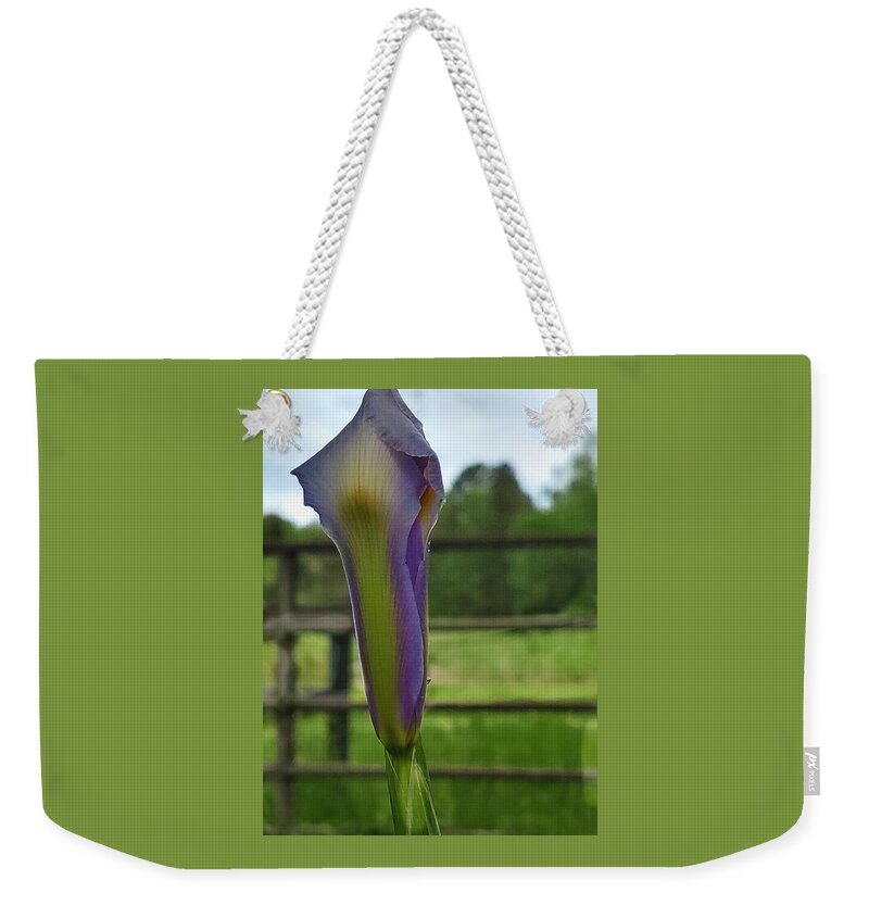 Iris Bud Weekender Tote Bag featuring the digital art Dutch Iris Birthday by Pamela Smale Williams