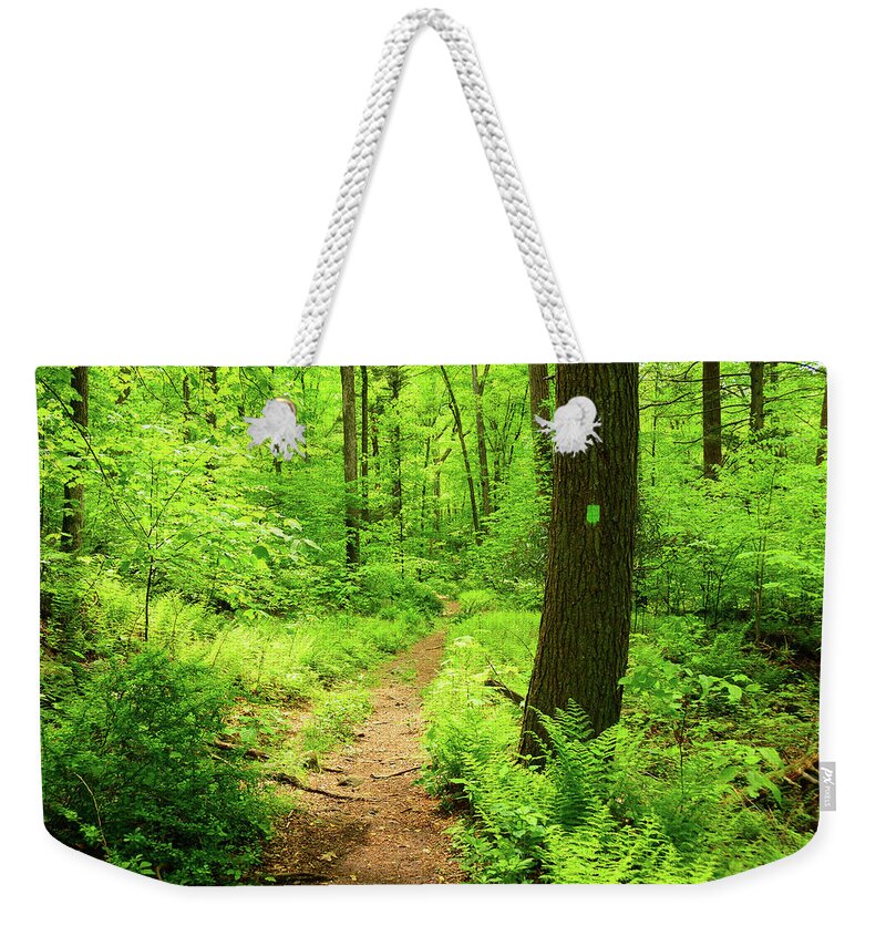 Dwg Dunnfield Creek Spring Green And Trail Blaze Weekender Tote Bag featuring the photograph DWG Dunnfield Creek Spring Green and Trail Blaze by Raymond Salani III