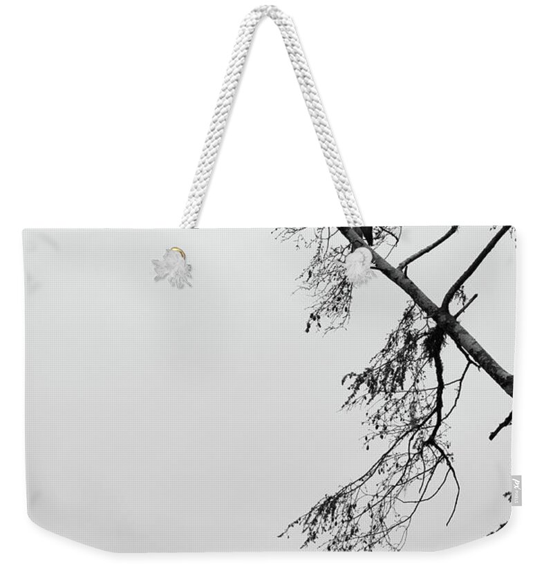  Weekender Tote Bag featuring the photograph Eagle Black and White by Michael Rauwolf