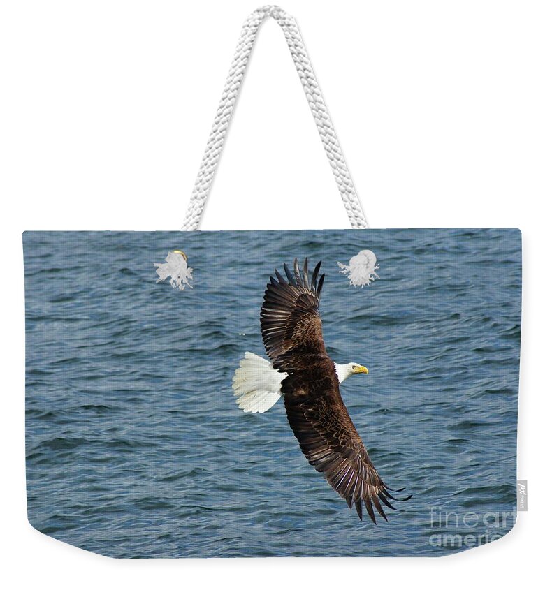 Eagle Weekender Tote Bag featuring the photograph Eagle In bank turn by Steve Speights