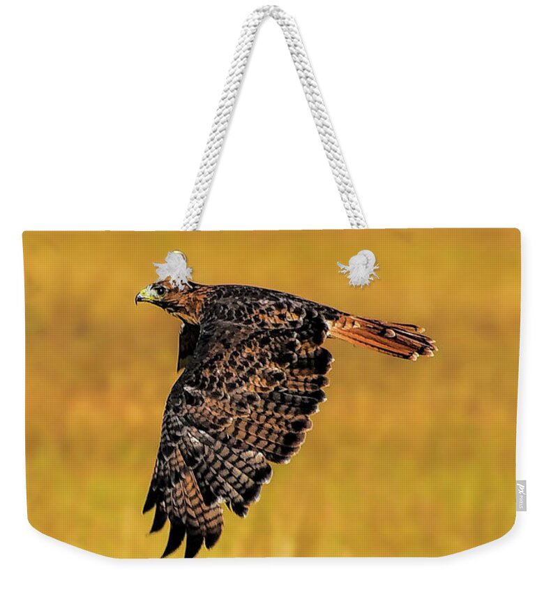 Eagle Weekender Tote Bag featuring the photograph Eagle In Flight by PatriZio M Busnel