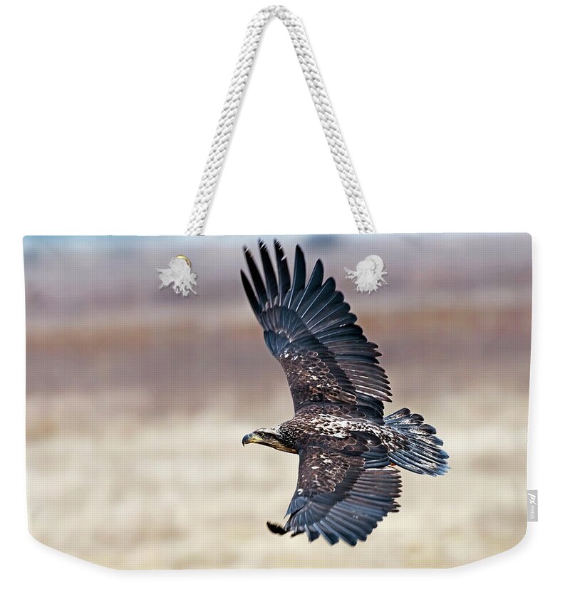 Eagle Weekender Tote Bag featuring the photograph Eagle in flight by Terry Dadswell