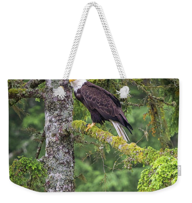 Eagle Weekender Tote Bag featuring the photograph Eagle Tree by Michael Rauwolf