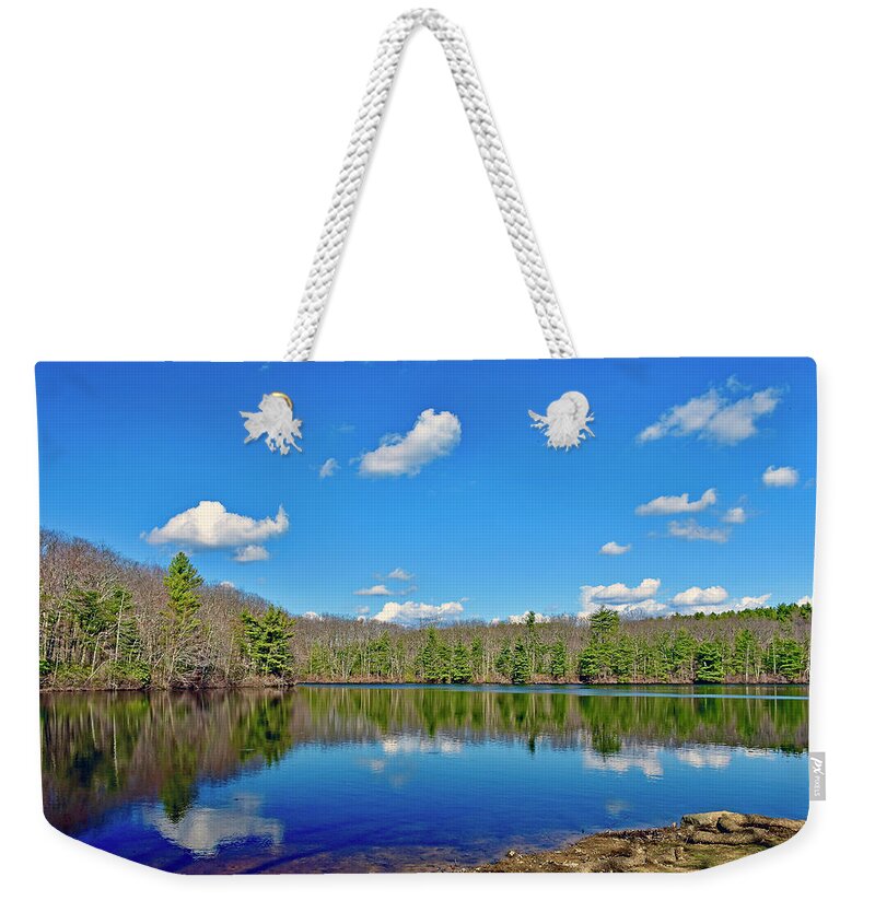 Eames Weekender Tote Bag featuring the photograph Eames Pond Reflection by Monika Salvan