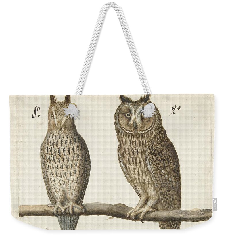 Long-eared Owl Weekender Tote Bag featuring the painting Eared Owl, Anonymous, 1560 by MotionAge Designs