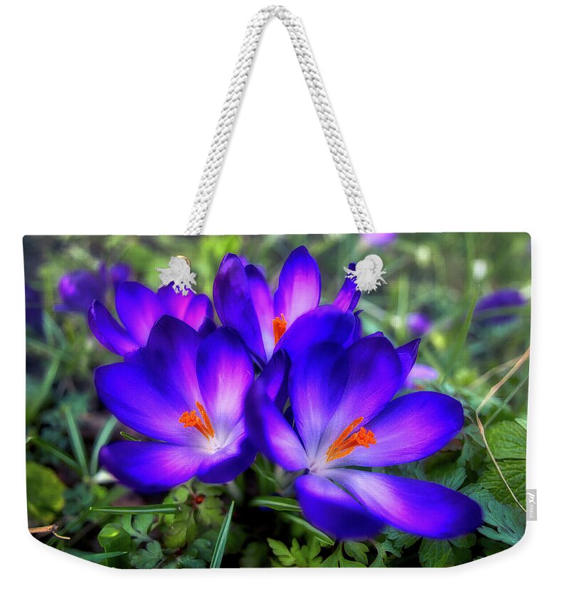 Flower Weekender Tote Bag featuring the photograph Early Crocus by Micah Offman
