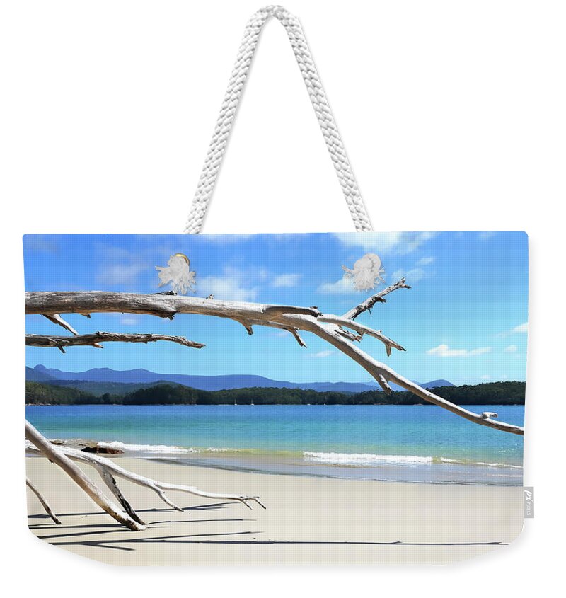 Tantalizing Tasmania Series By Lexa Harpell Weekender Tote Bag featuring the photograph Early Morning At Cockle Creek by Lexa Harpell