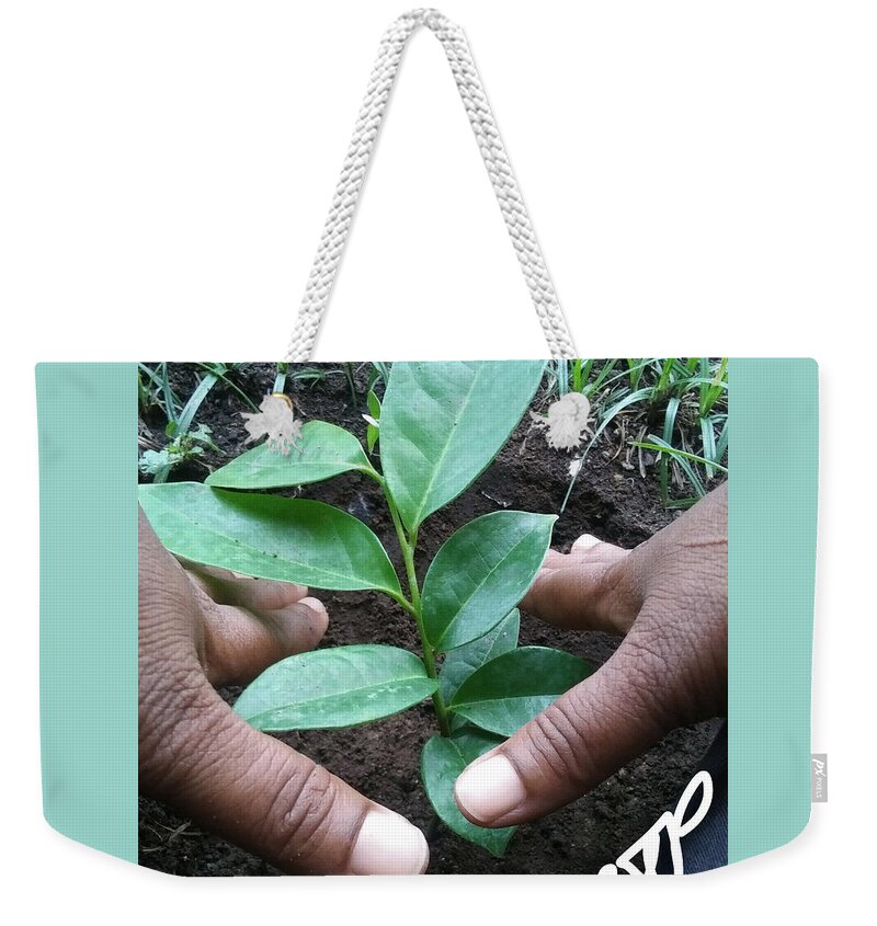 Tree Weekender Tote Bag featuring the photograph Earthical by Esoteric Gardens KN