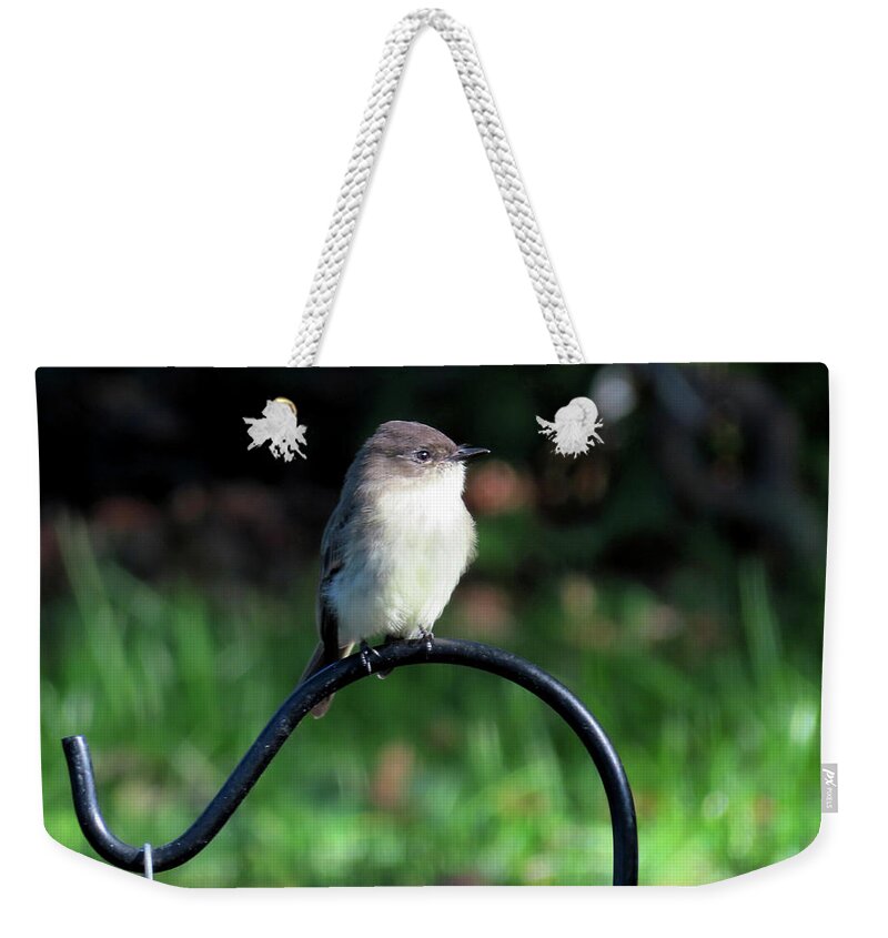 Birds Weekender Tote Bag featuring the photograph Eastern Phoebe by Linda Stern
