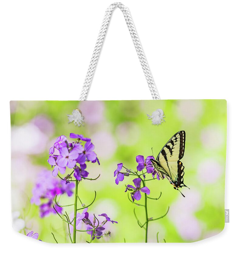 Animals Weekender Tote Bag featuring the photograph Eastern Tiger Swallowtail Butterfly 6 - Nature Photography by Amelia Pearn