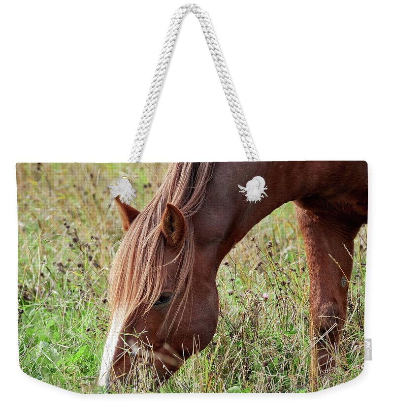 Equus Caballus Caballus Weekender Tote Bag featuring the photograph Eat your greens. Horse by Jouko Lehto