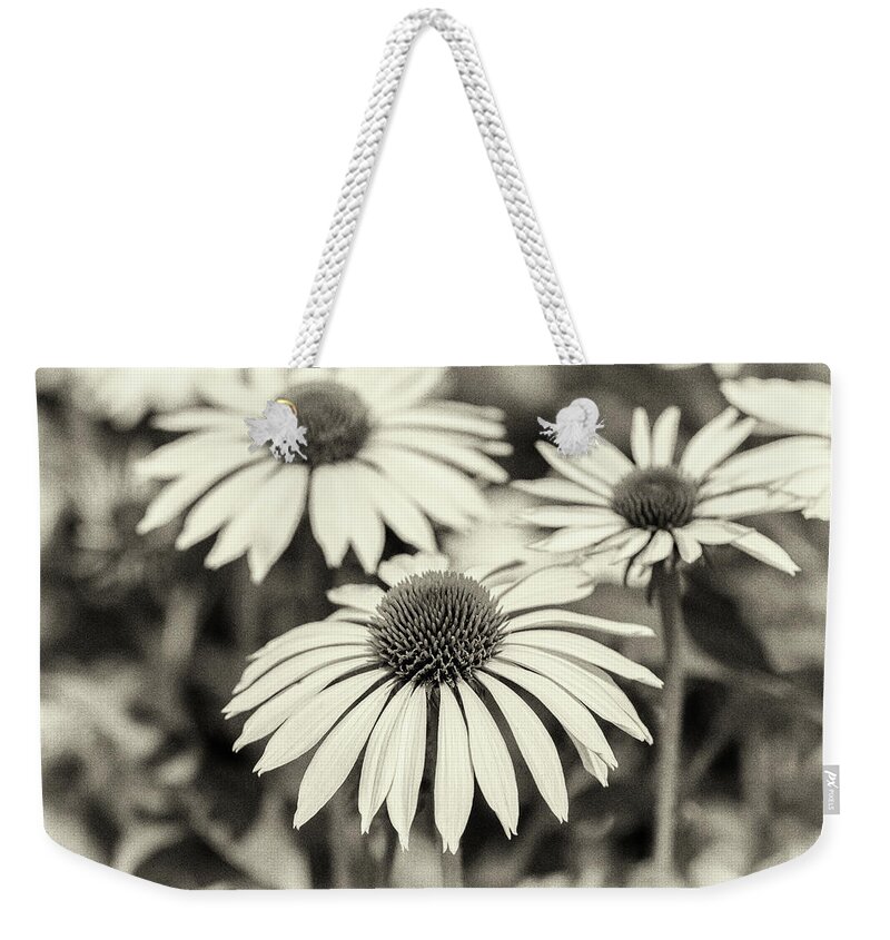 Black And White Flowers Weekender Tote Bag featuring the photograph Echinacea Black And White by Tanya C Smith