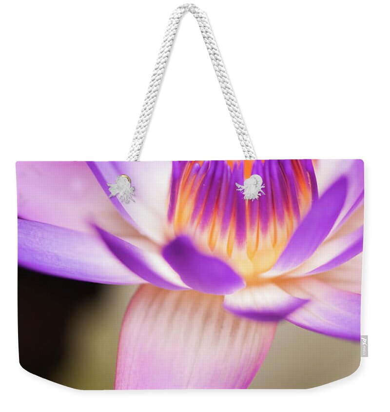 Floral Weekender Tote Bag featuring the photograph Effervescence by Usha Peddamatham