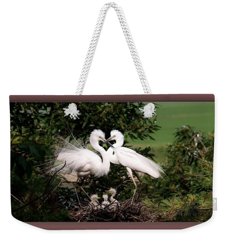 Egret Weekender Tote Bag featuring the photograph Egret Family by Nancy Ayanna Wyatt