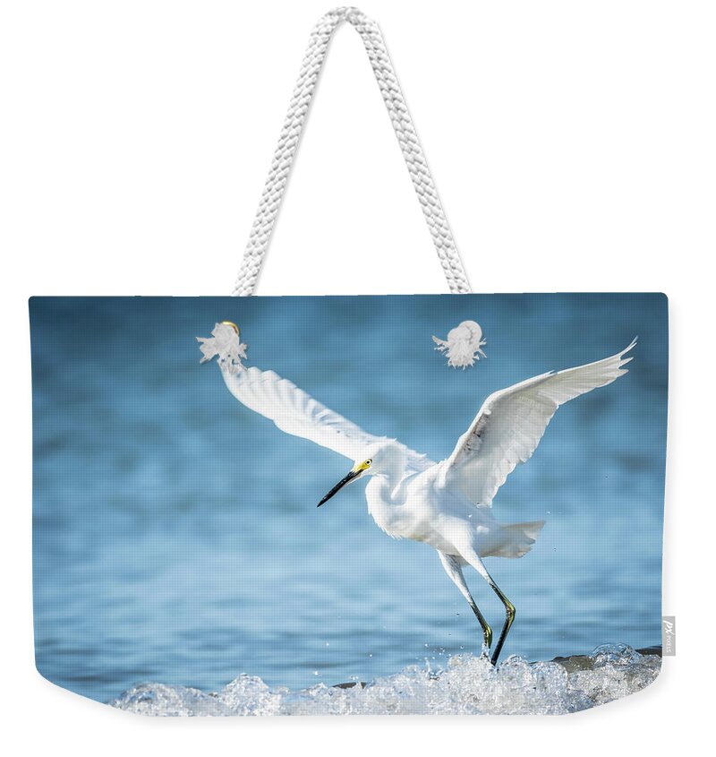 Egret Weekender Tote Bag featuring the photograph Egret in Bonita Spring Beach by George Kenhan