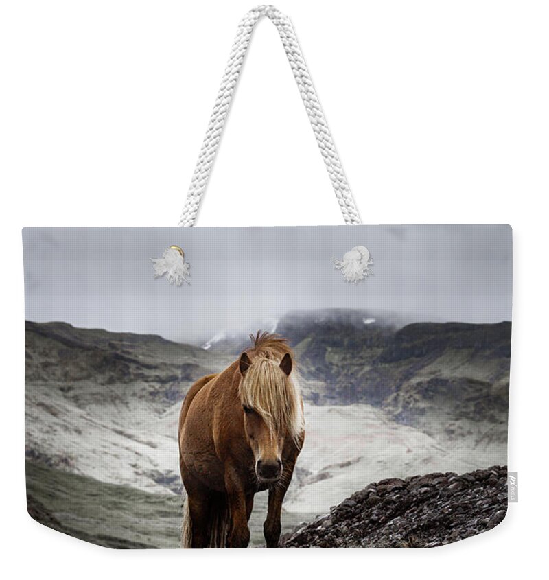 Photographs Weekender Tote Bag featuring the photograph Einar - Horse Art by Lisa Saint